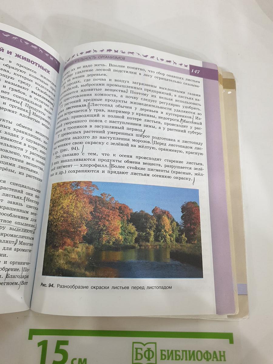 Биология. 5-6 классы