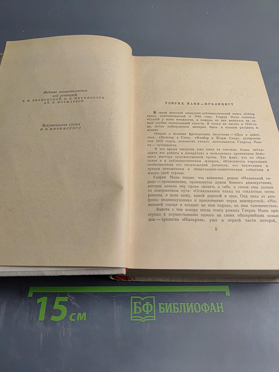 Сочинения. Том восьмой. Литературная критика. Публицистика