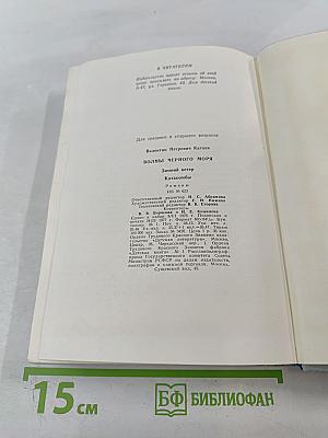 Волны Черного моря