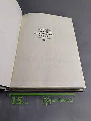 Удивительный год. Три недели покоя