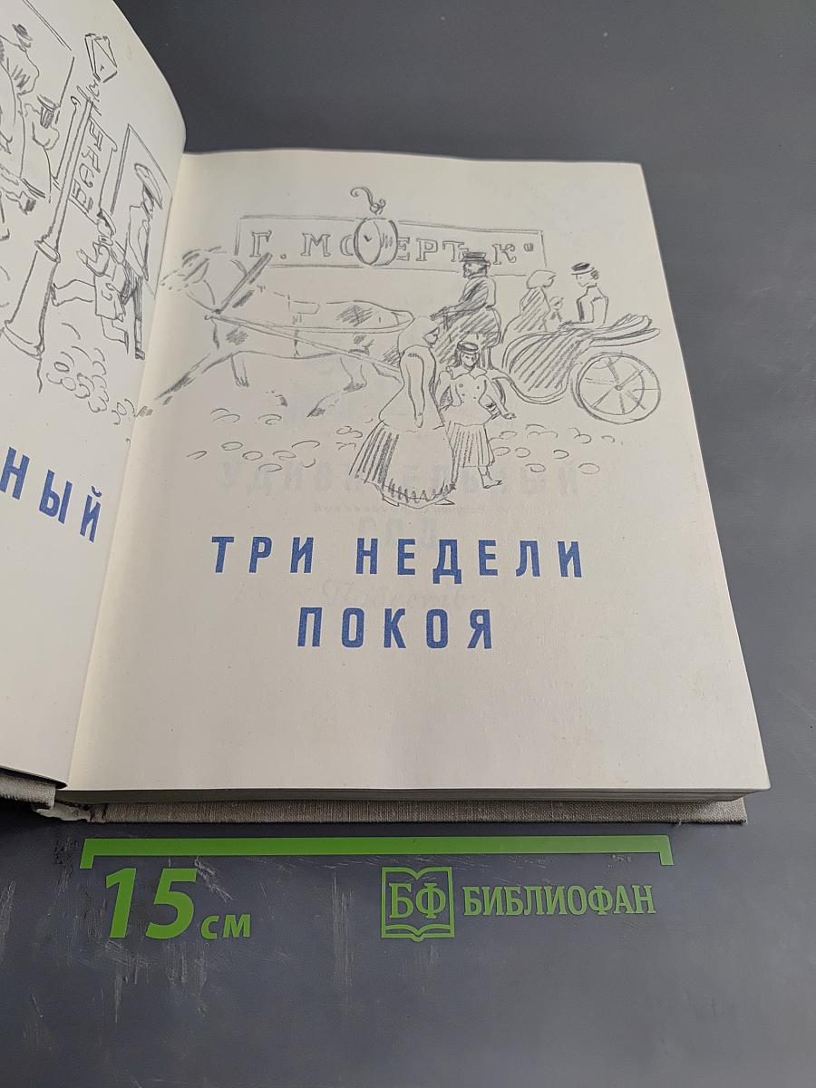 Удивительный год. Три недели покоя