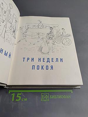 Удивительный год. Три недели покоя