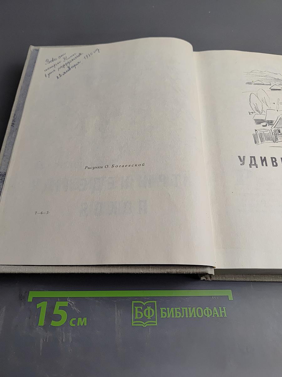 Удивительный год. Три недели покоя