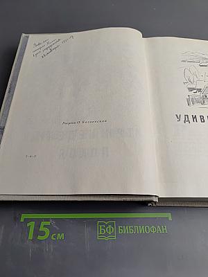 Удивительный год. Три недели покоя