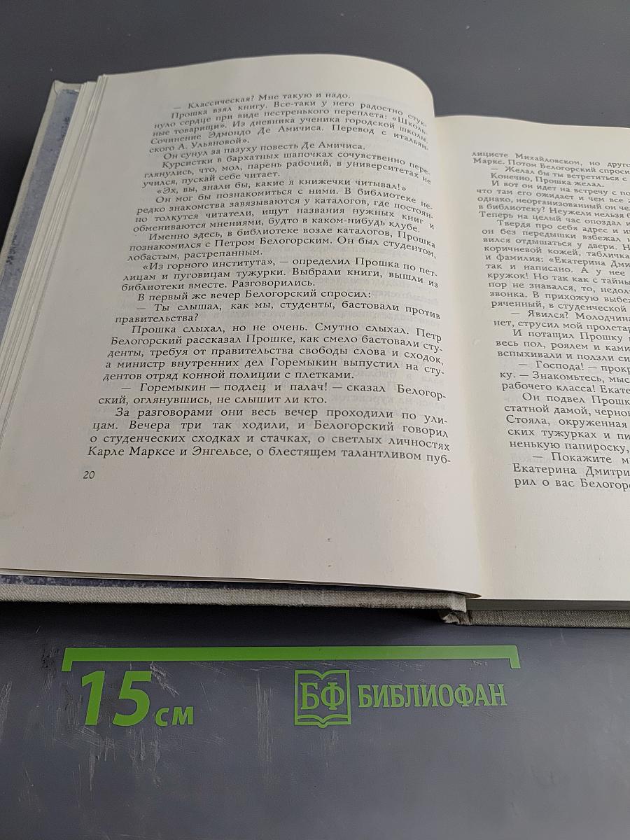 Удивительный год. Три недели покоя