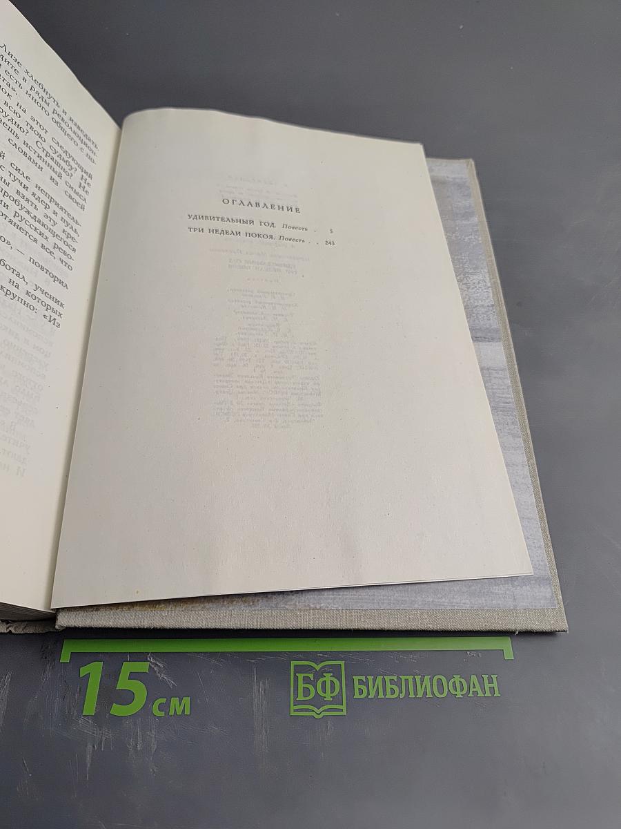 Удивительный год. Три недели покоя