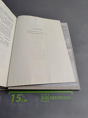 Удивительный год. Три недели покоя