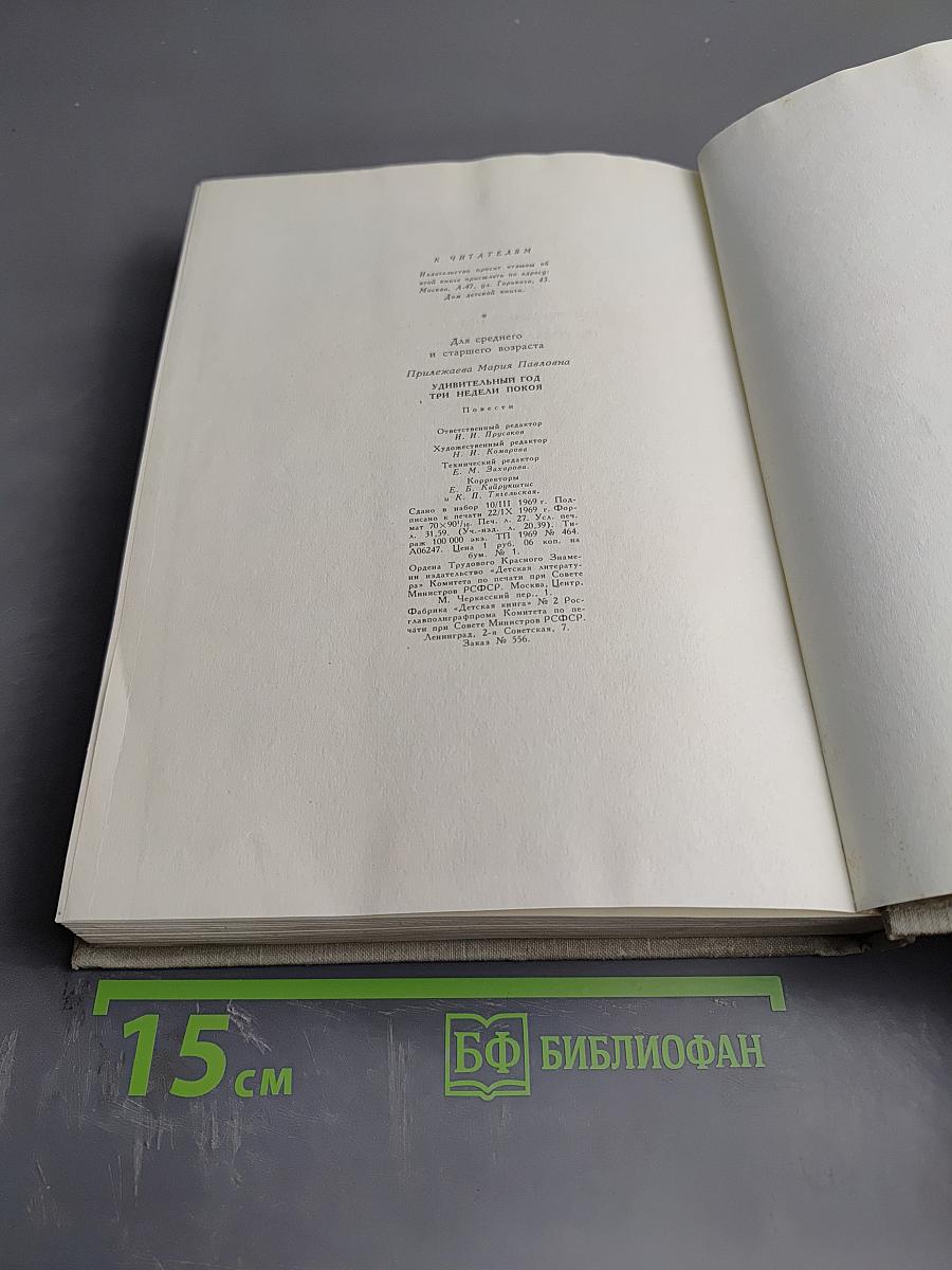 Удивительный год. Три недели покоя