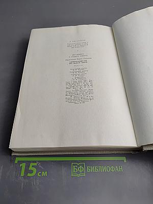 Удивительный год. Три недели покоя