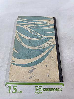 Море и звёзды