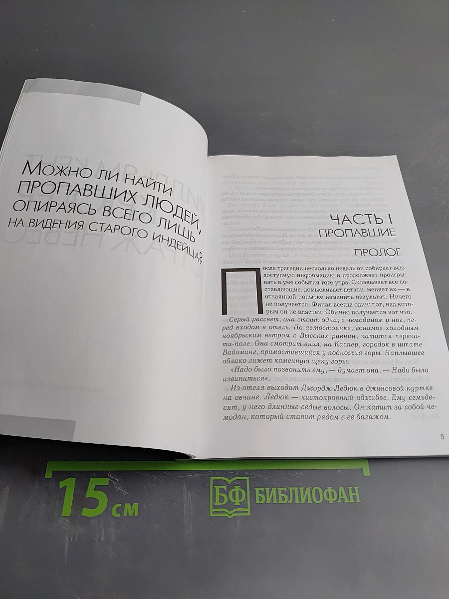 Страж небес