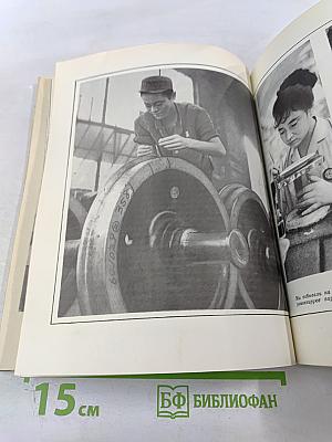 Под сенью Фудзиямы