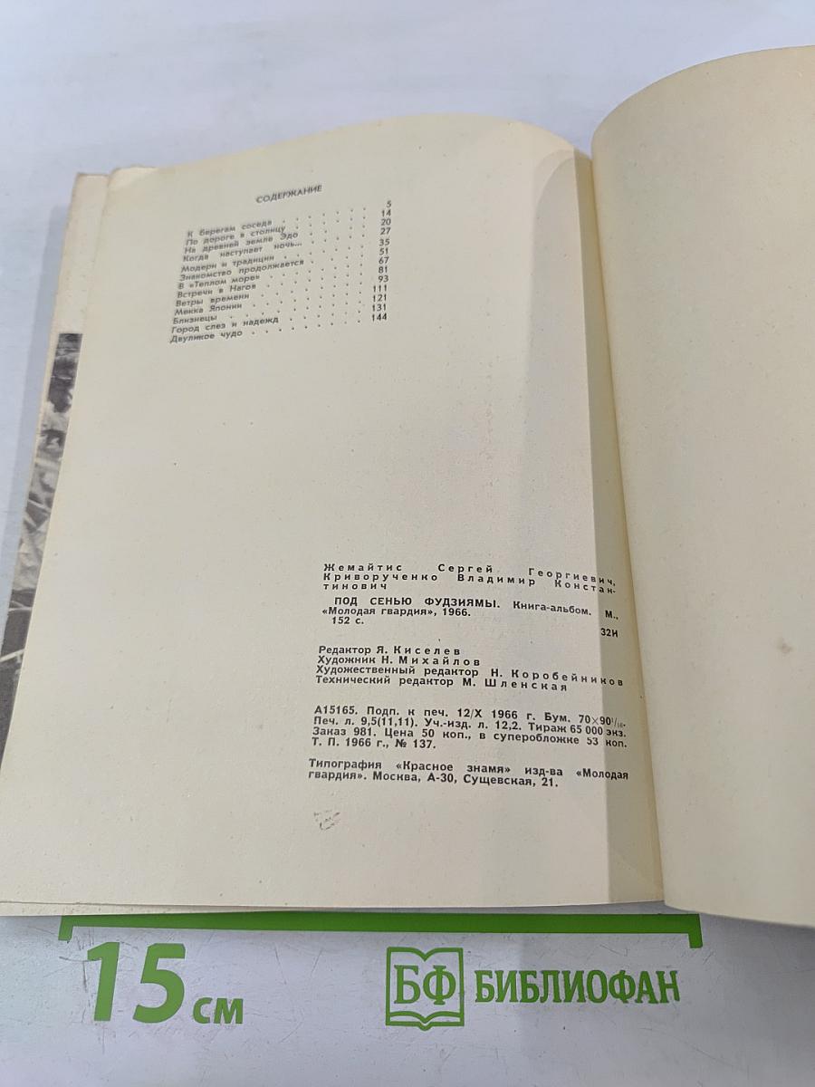 Под сенью Фудзиямы