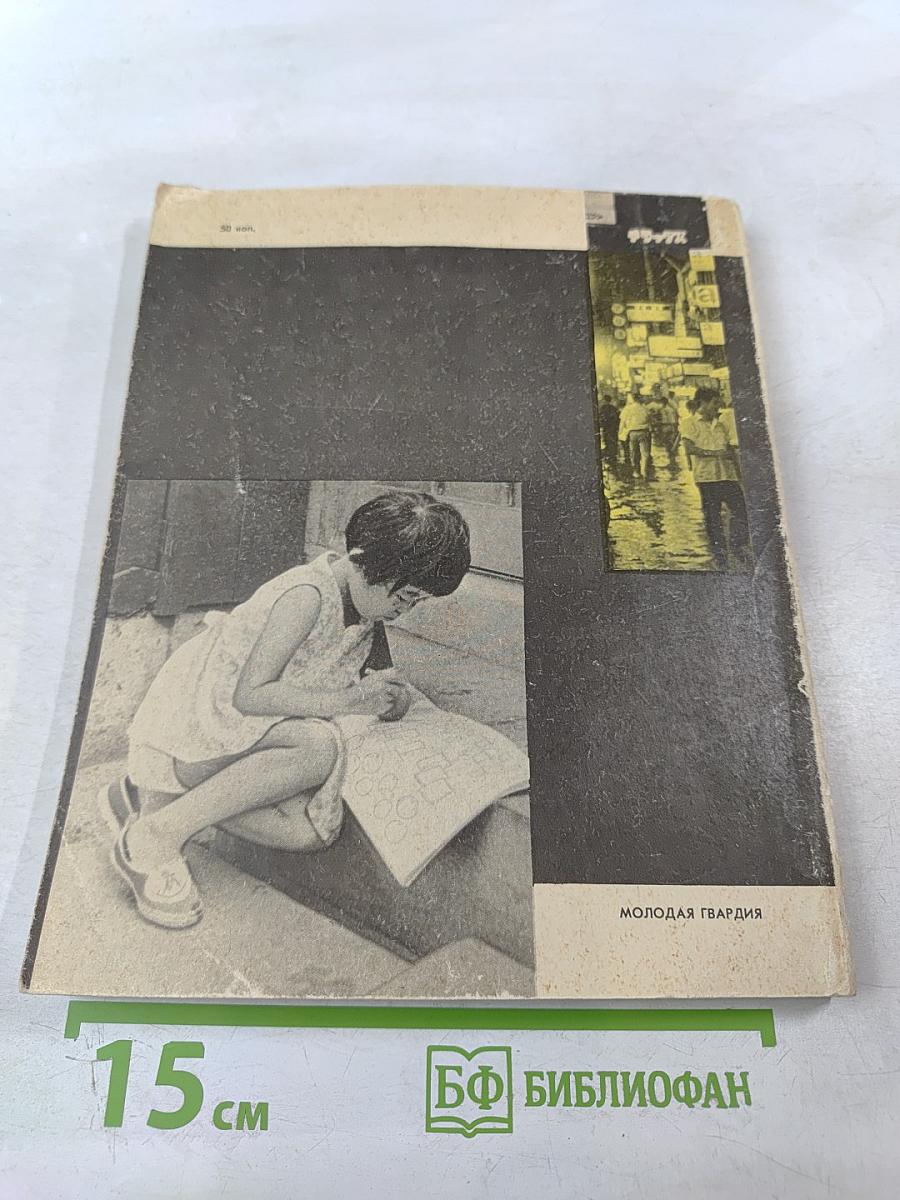 Под сенью Фудзиямы