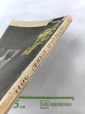 Под сенью Фудзиямы