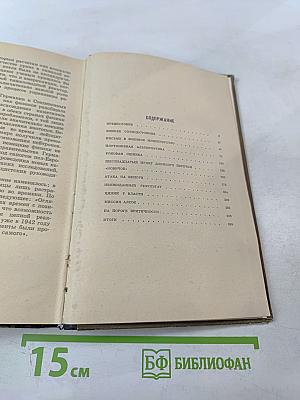 Вирусный флигель