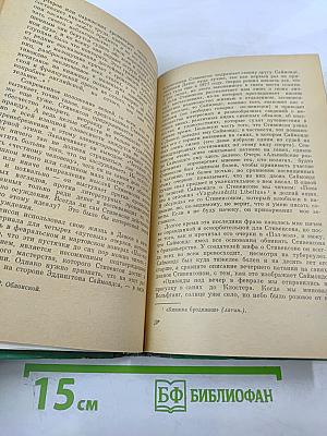 Стивенсон (Портрет бунтаря)