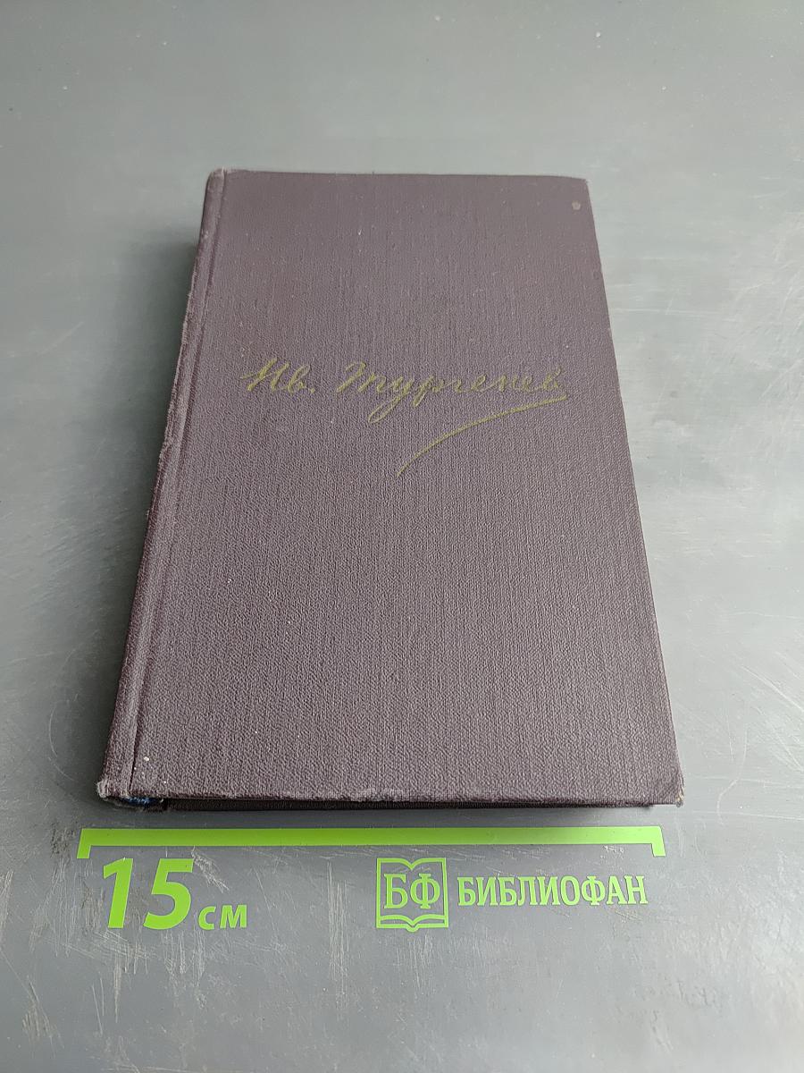 Полное собрание сочинений и писем в 30 томах. Сочинения. Том десятый: Повести и рассказы (1851-1883), Стихотворения в прозе (1878-1883), Произведения разных годов