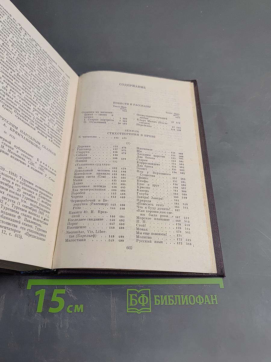 Полное собрание сочинений и писем в 30 томах. Сочинения. Том десятый: Повести и рассказы (1851-1883), Стихотворения в прозе (1878-1883), Произведения разных годов