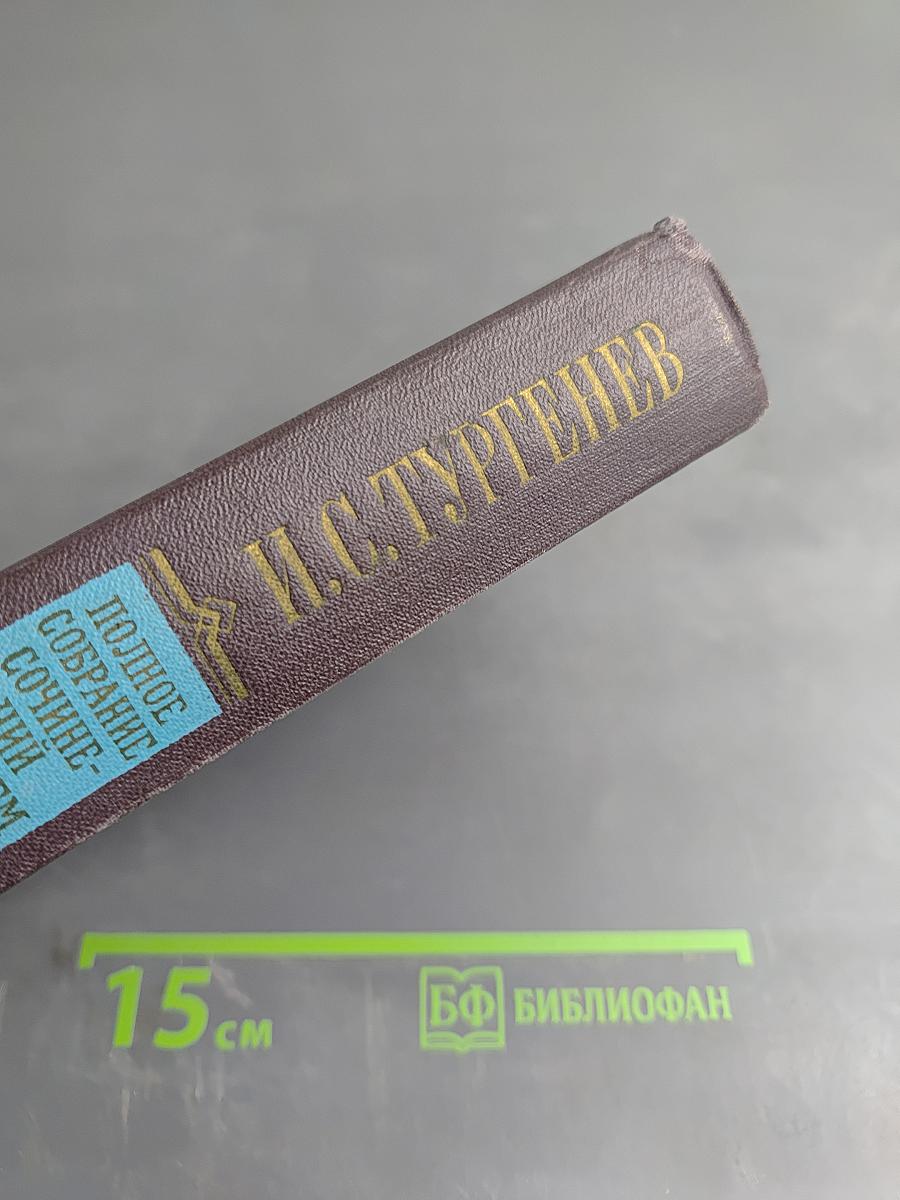 Полное собрание сочинений и писем в 30 томах. Сочинения. Том десятый: Повести и рассказы (1851-1883), Стихотворения в прозе (1878-1883), Произведения разных годов
