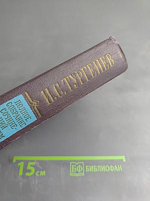 Полное собрание сочинений и писем в 30 томах. Сочинения. Том десятый: Повести и рассказы (1851-1883), Стихотворения в прозе (1878-1883), Произведения разных годов