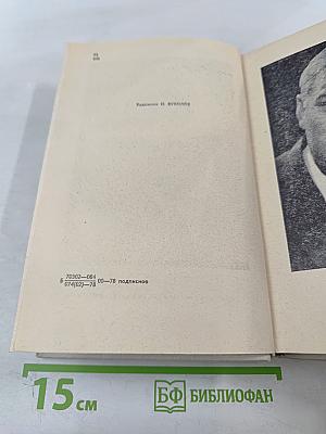 Белая Береза