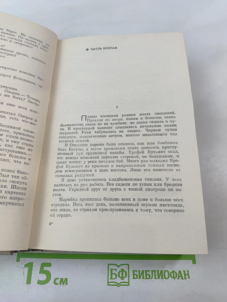 Белая Береза