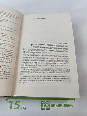 Белая Береза