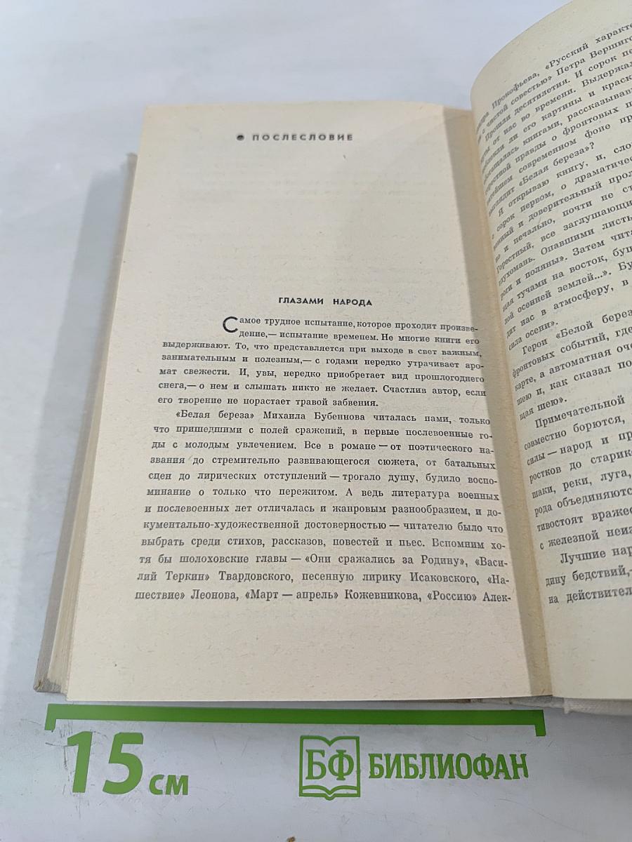 Белая Береза