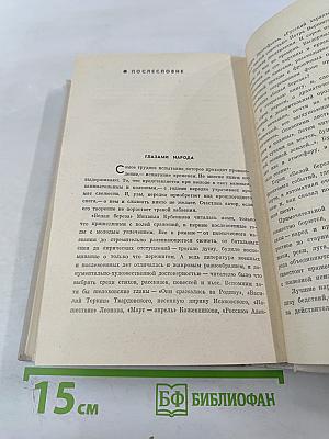 Белая Береза