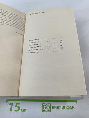 Белая Береза