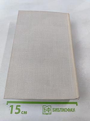 Белая Береза