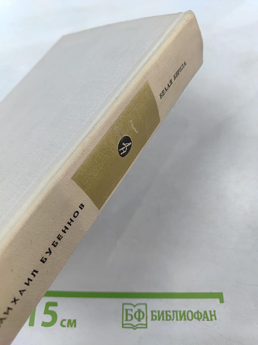 Белая Береза