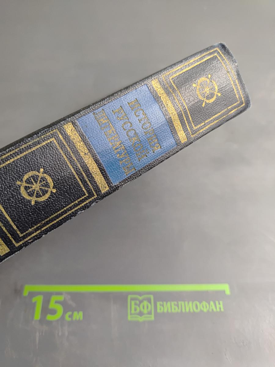 История русской литературы. Том второй. От сентиментализма к романтизму и реализму