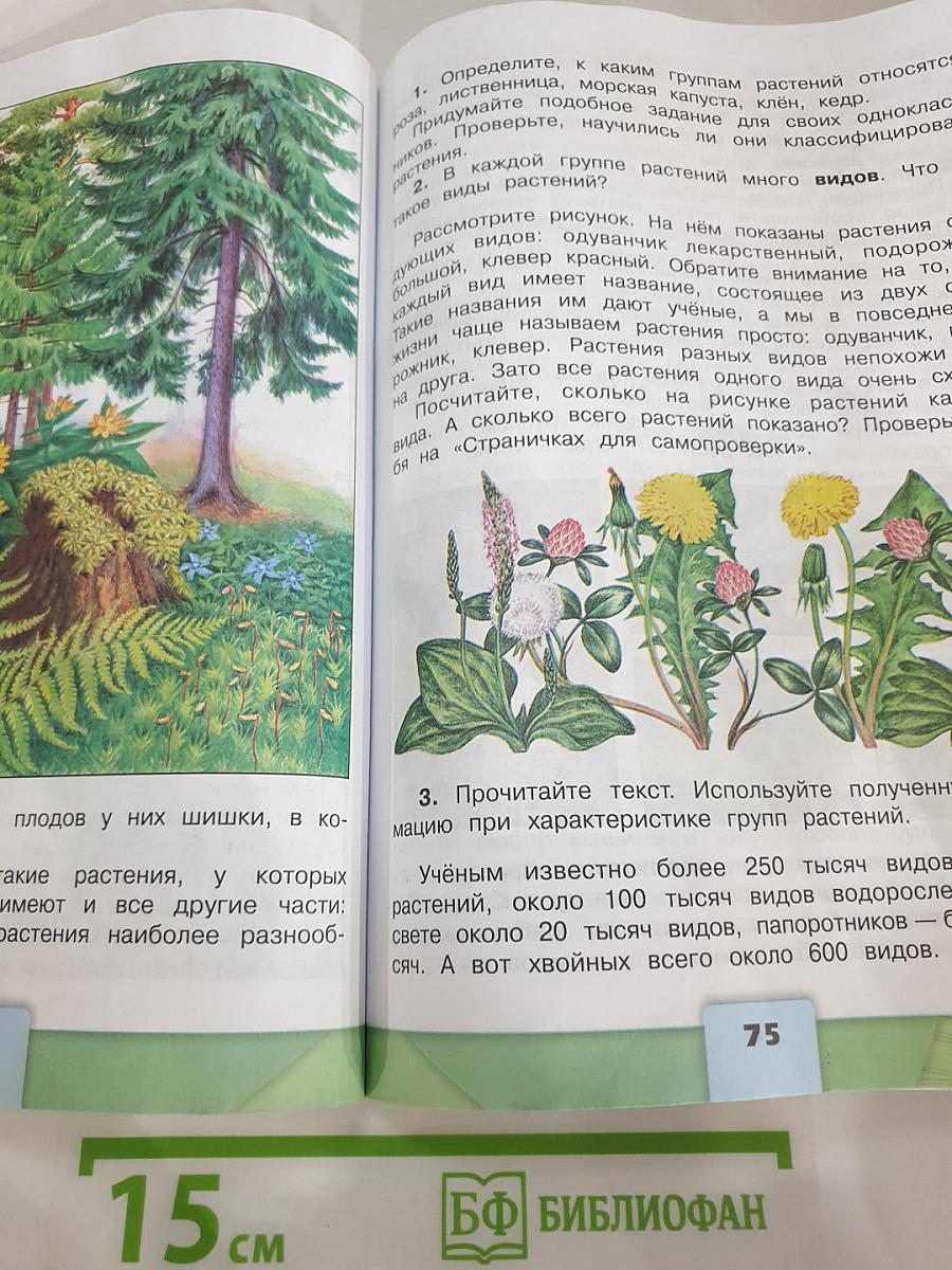 Окружающий мир 3 класс Часть 1