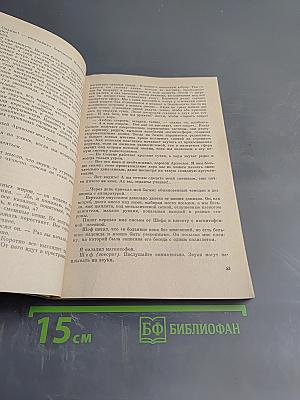 Прости меня...