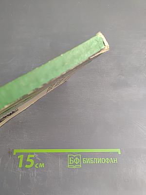 Прости меня...