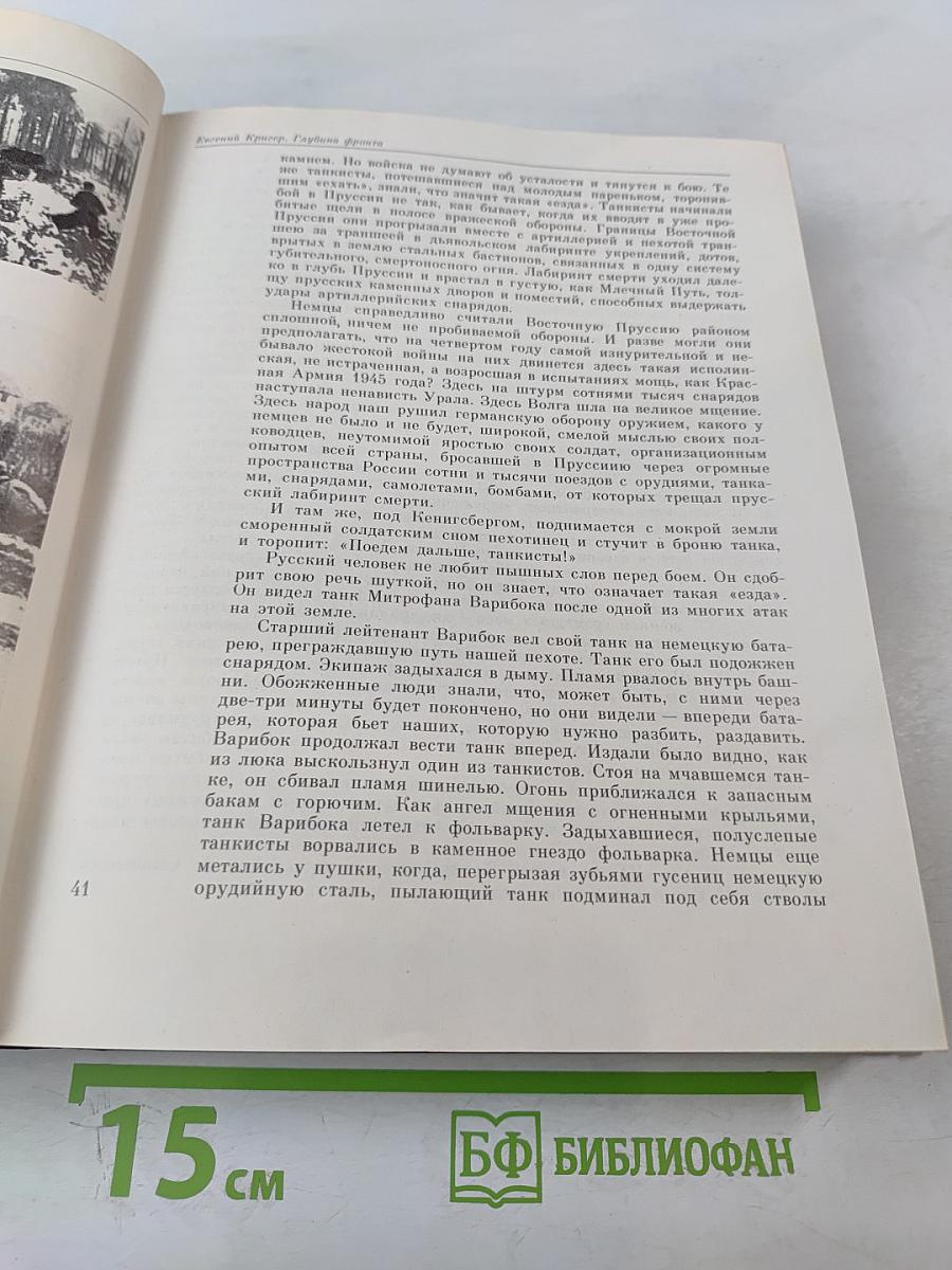 Венок славы. Том 11. Победа