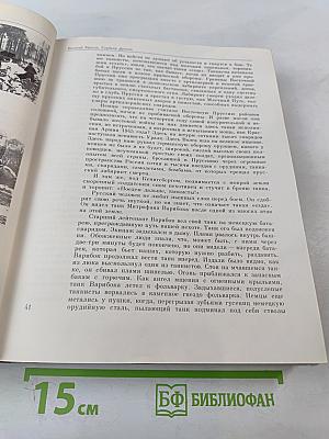 Венок славы. Том 11. Победа