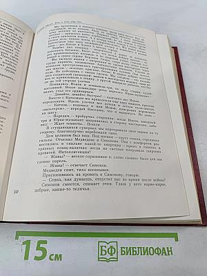 Венок славы. Том 11. Победа