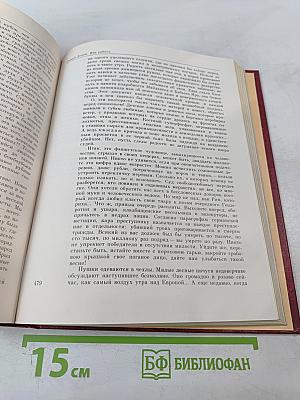 Венок славы. Том 11. Победа