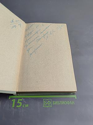 Мертвая Зыбь