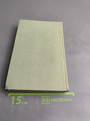 Мертвая Зыбь