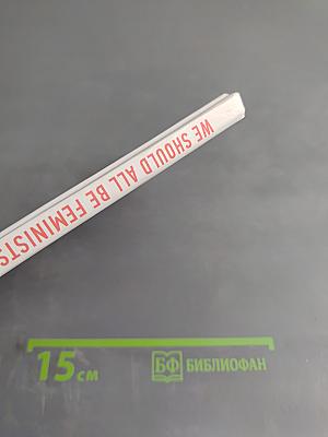 Мы все должны быть феминистками. Дискуссия о равенстве полов