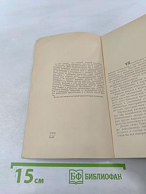 Нацисты и Боннская Фемида