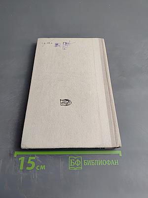 Политические системы развивающихся стран