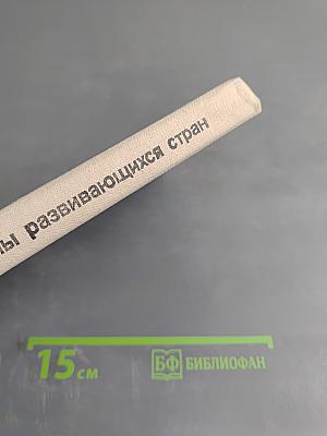 Политические системы развивающихся стран