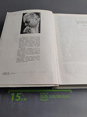 Немиги кровавые берега; За годом год