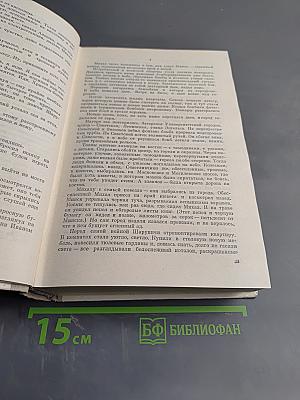 Немиги кровавые берега; За годом год