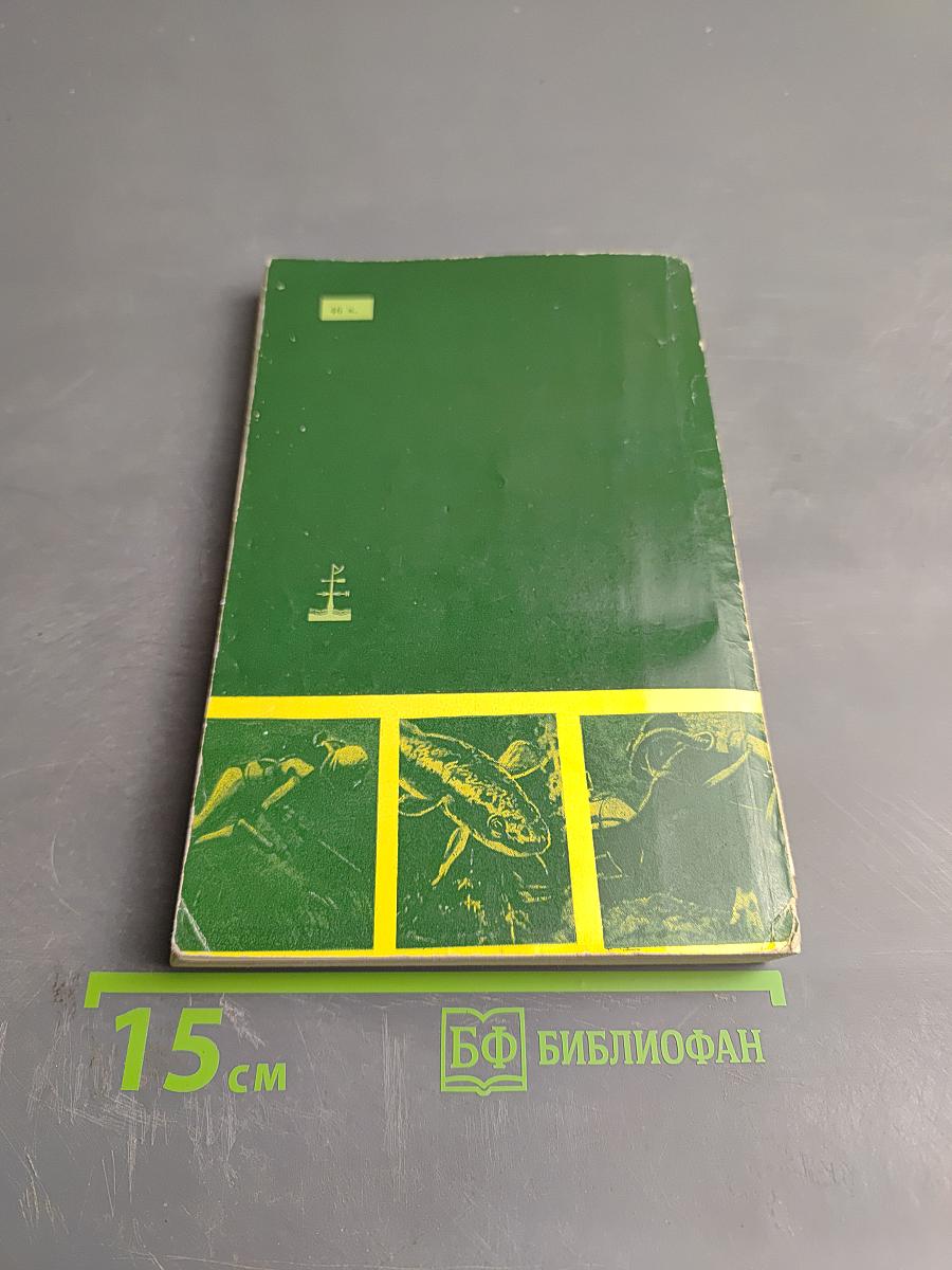 Приключения под водой